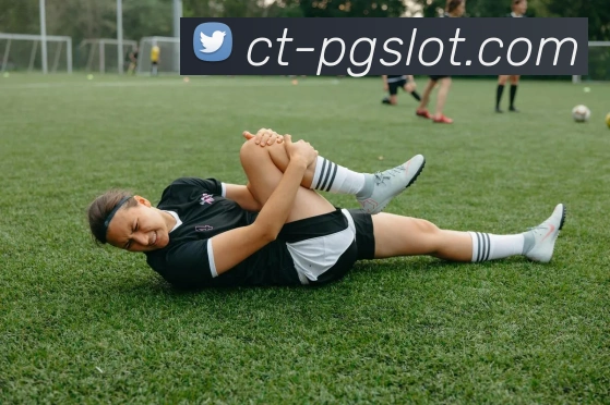 麻将胡了PG电子官网平台生态图